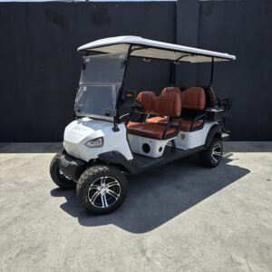 Carrito de Golf GreenBow Electrics